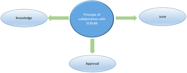 Principle of partnership with scrum
