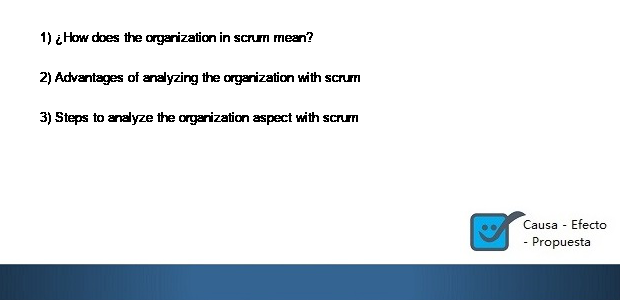 Organization aspect with scrum